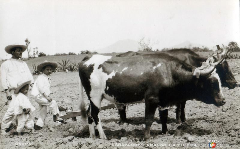 Labradores arando la tierra