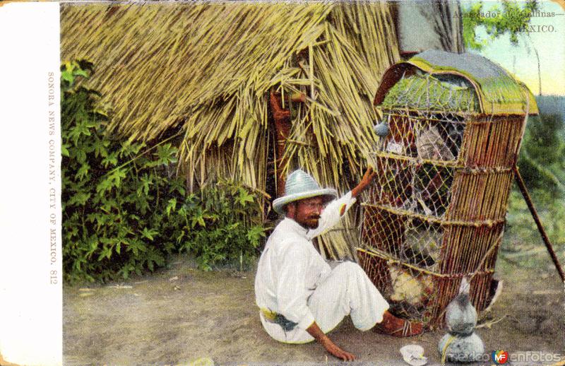 Acarreador de gallinas