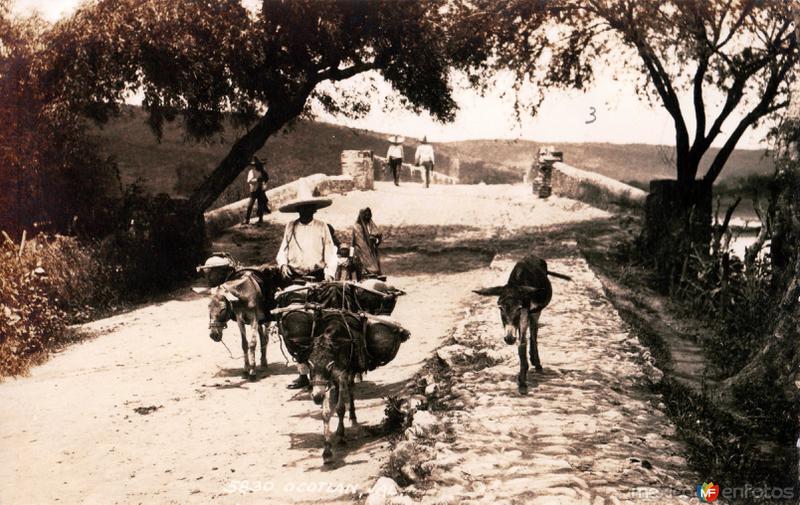 Arriero en Ocotlán