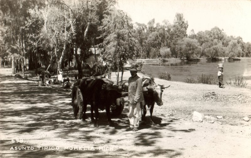 Carreta de bueyes en Morelia