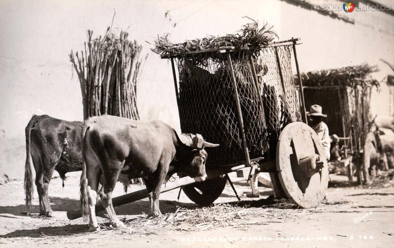 Cargando carbón