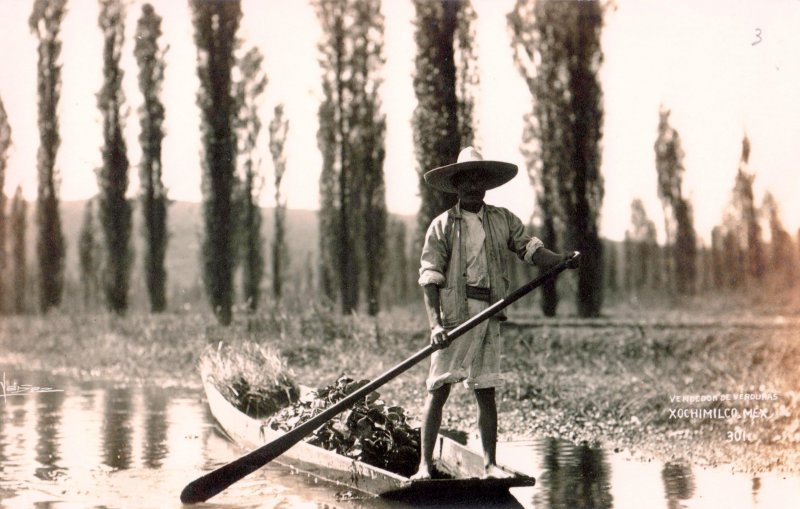 Vendedor de verduras en Xochimilco