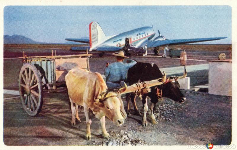 Carreta de bueyes y avión de American Airlines