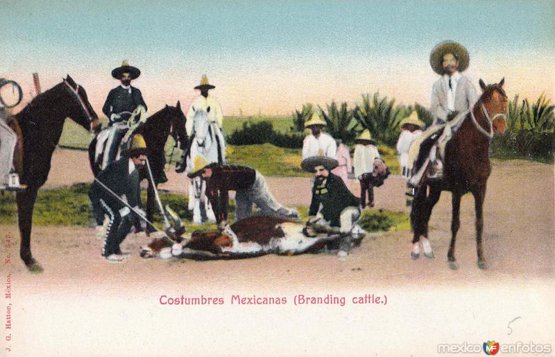 Costumbres Mexicanas (marcando del ganado)