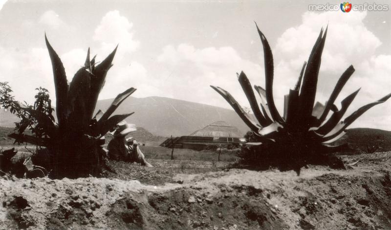 Zona Arqueológica de Teotihuacán