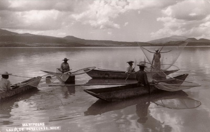 Mariposas en el Lago de Pátzcuaro