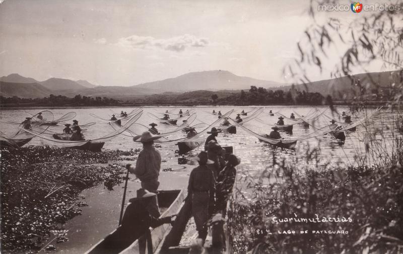 Mariposas en el Lago de Pátzcuaro