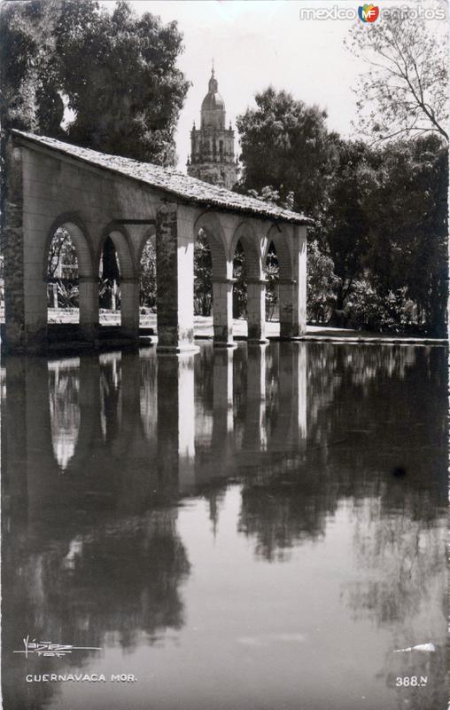 Jardín Borda. Al fondo la torre de la Catedral de Cuernavaca