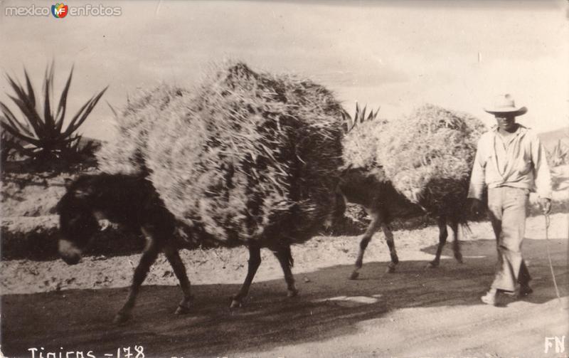 Mexicanos