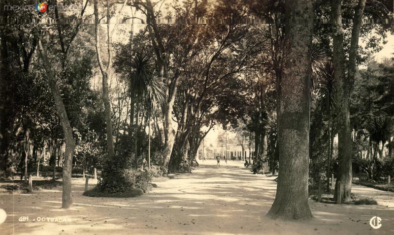 Viveros de Coyoacán