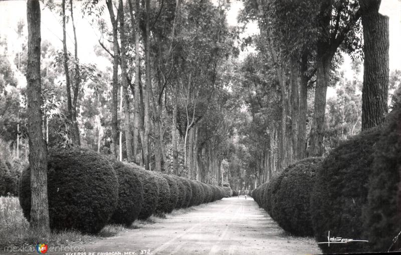 Viveros de Coyoacán