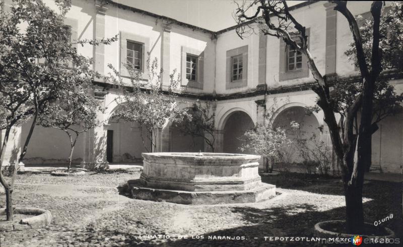 Patio de Los Naranjos