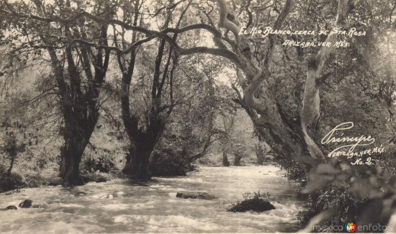 El Río Blanco, cerca de Santa Rosa