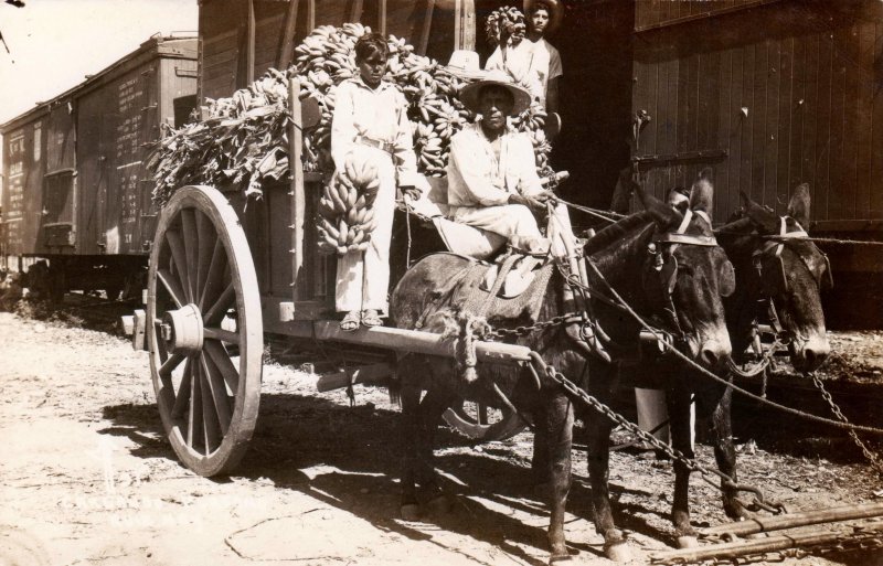 Carreta de plátanos