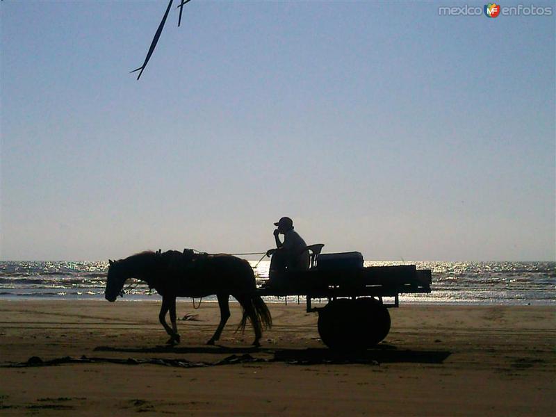 Fotos de El Novillero, Nayarit, México: Terminando la venta