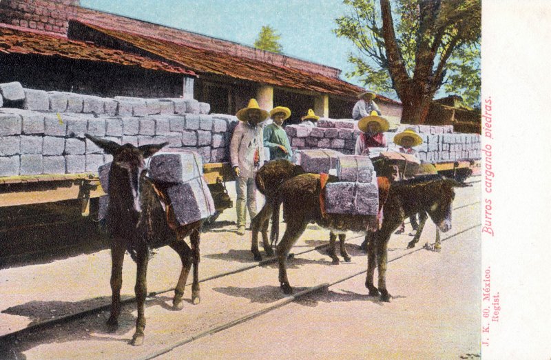 Burros cargando piedras