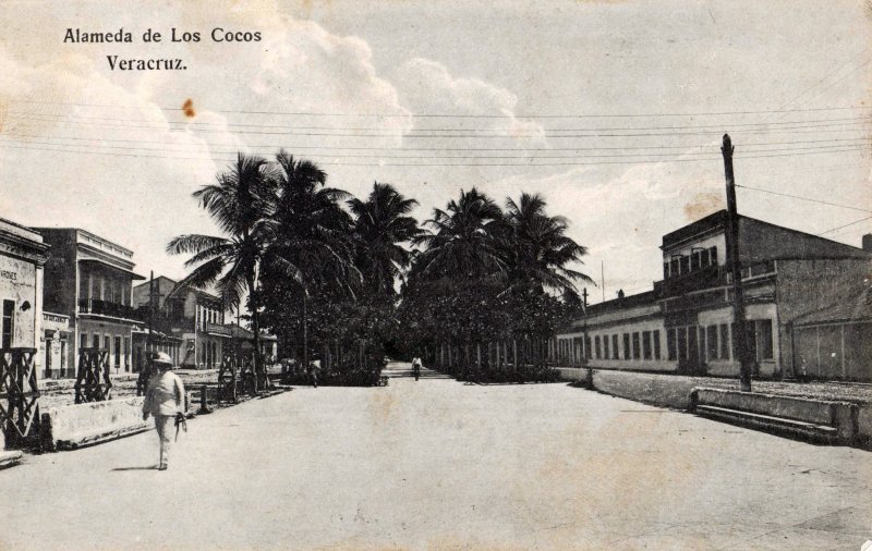 Alameda de los Cocos