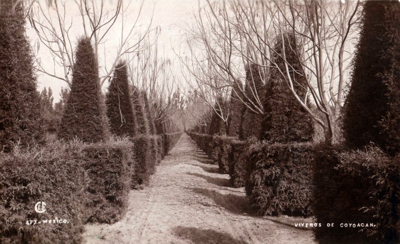 Viveros de Coyoacán