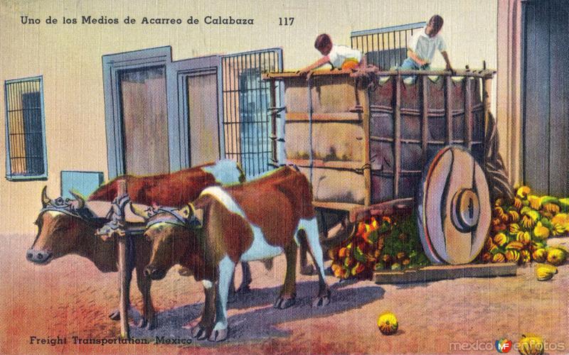 Carreta de transporte de calabaza