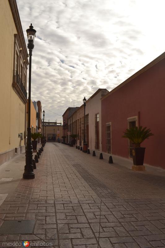 CALLEJON DE LAS MARIPOSAS