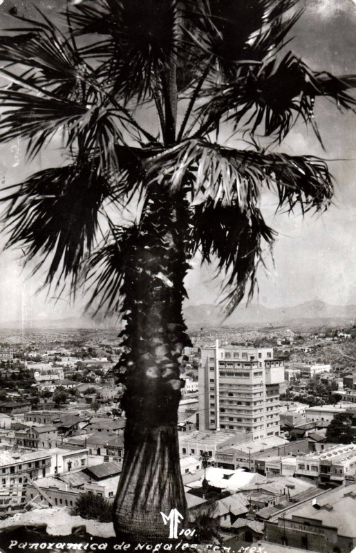 Panorámica de Nogales