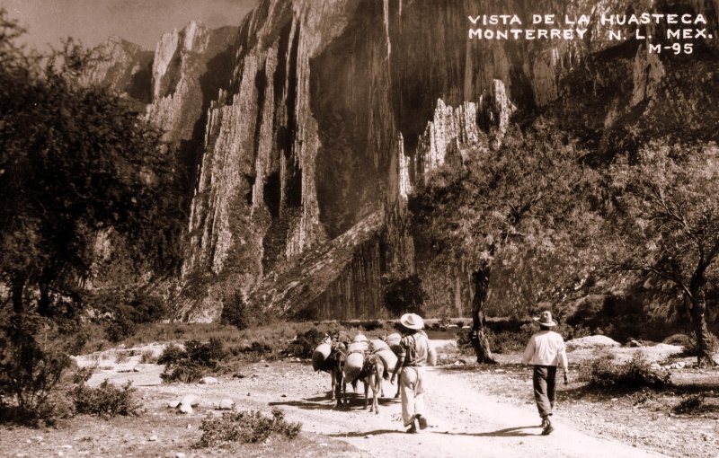 Cañón de la Huasteca