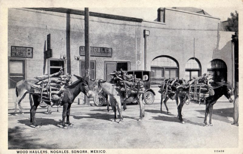 Cargadores de leña