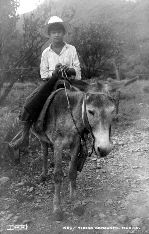 Niño con burro