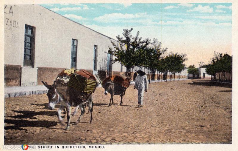 Una calle en Querétaro