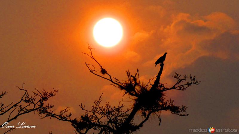 ATARDECER EN CORDOBA,VERACRUZ