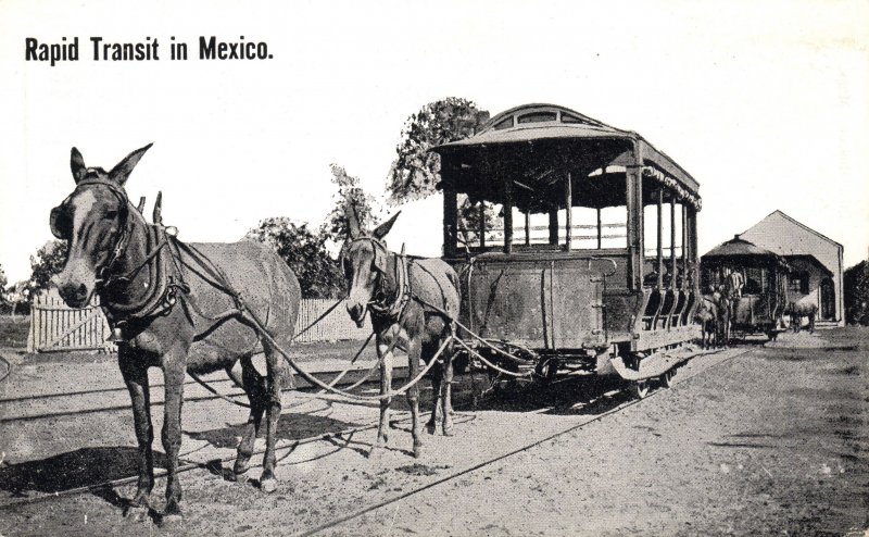 Travía antiguo tirado por burros