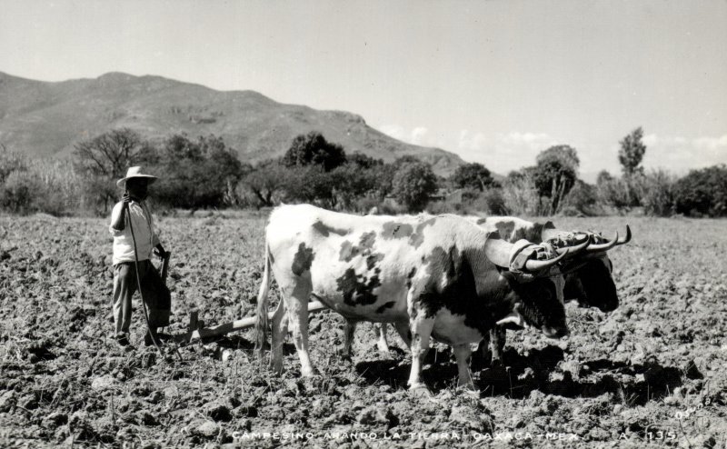 Labrando la Tierra