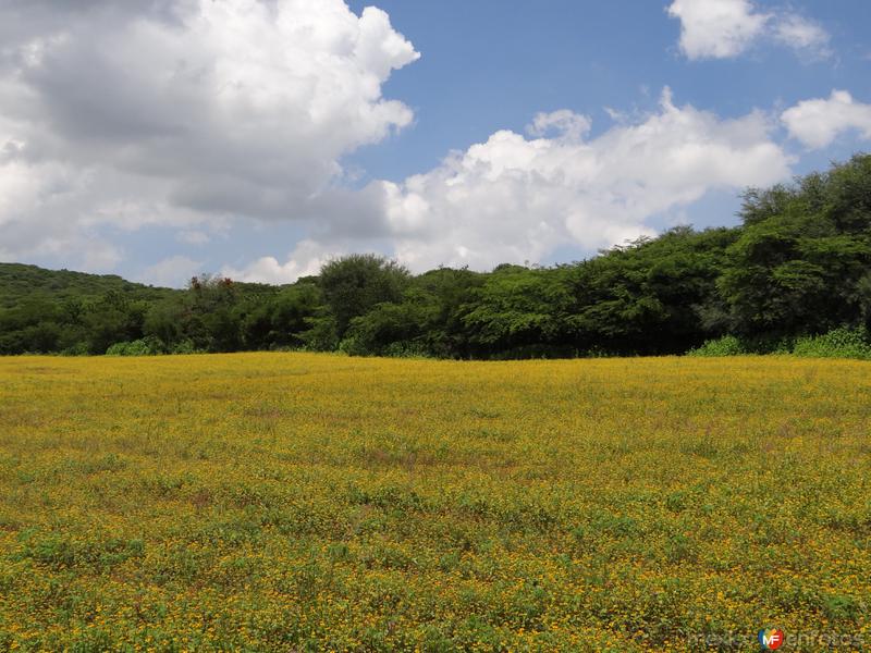 Amarillo, verde y azul