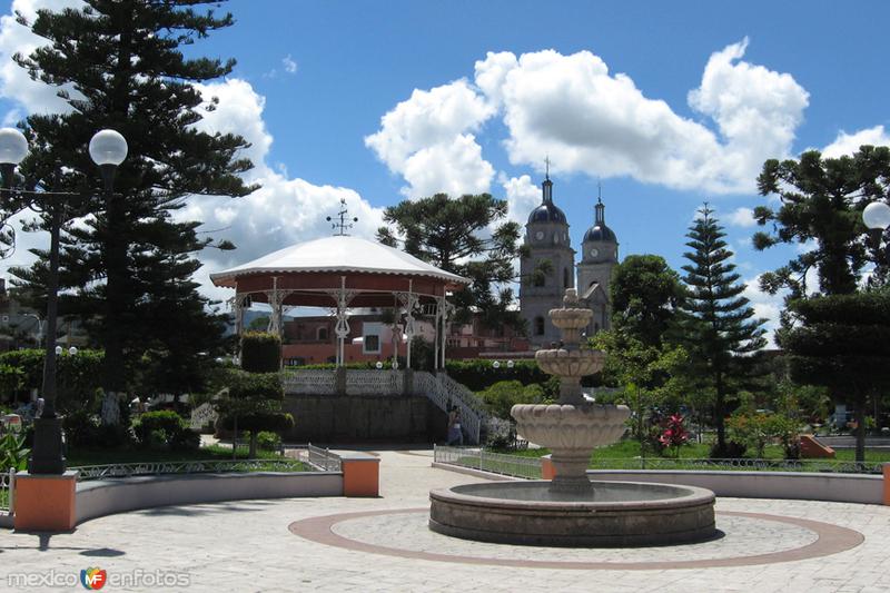 El Jardín