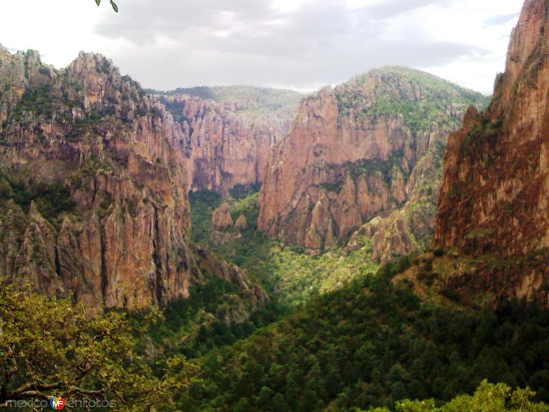 Fotos de Ocampo, Chihuahua, México: cascada