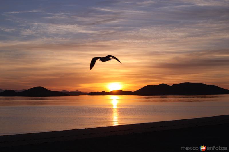 Amanecer en Bahía de los Angeles.