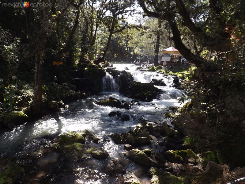 Arroyo de Quetzalapan cerca de Chignahuapan. Noviembre/2012