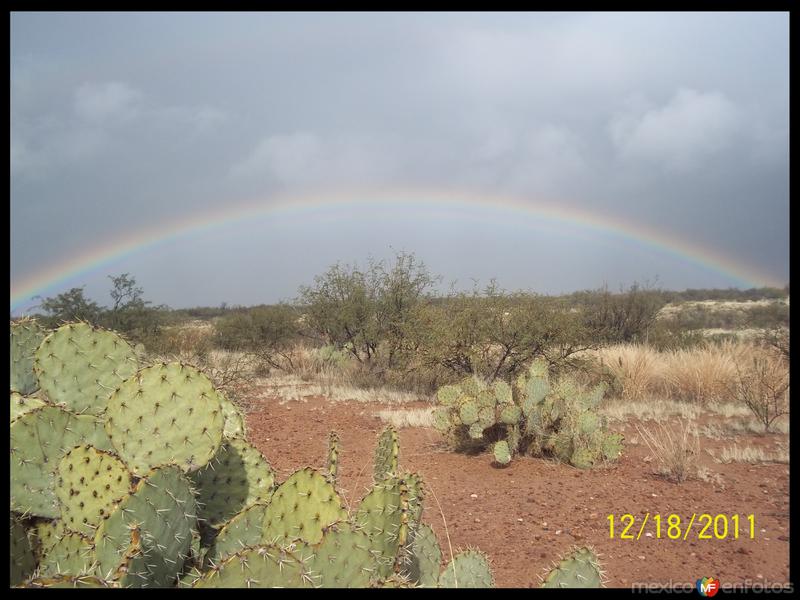 Arcoiris En El Desierto