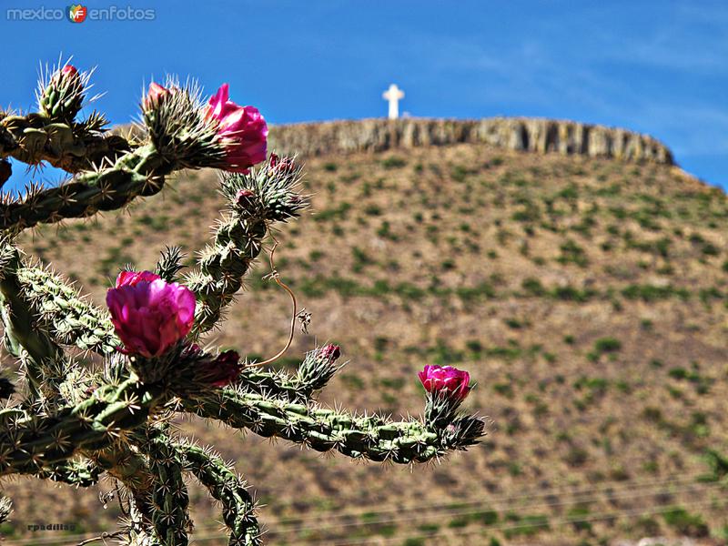 SOMBRERETILLO