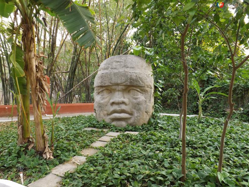 Cabeza olmeca en la Hacienda San Ildefonso Teya