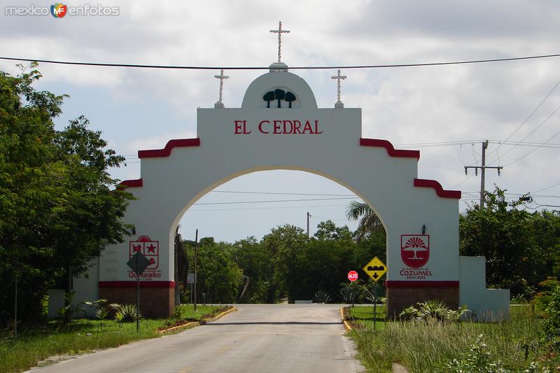 EL CEDRAL