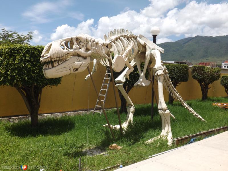 Museo "La Avispa" Chilpancingo, Guerrero. Julio/2013