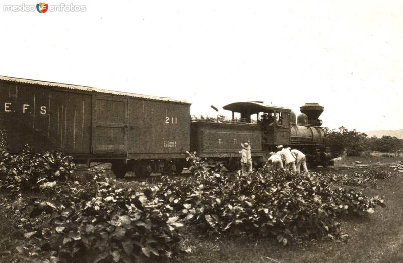 Ferrocarriles Mexicanos