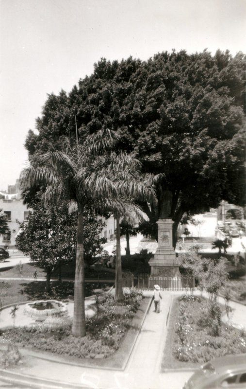 Jardín