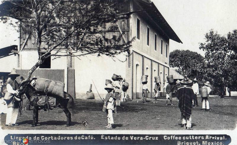 Rancho de San Marcial: Llegada de los Cortadores de Café