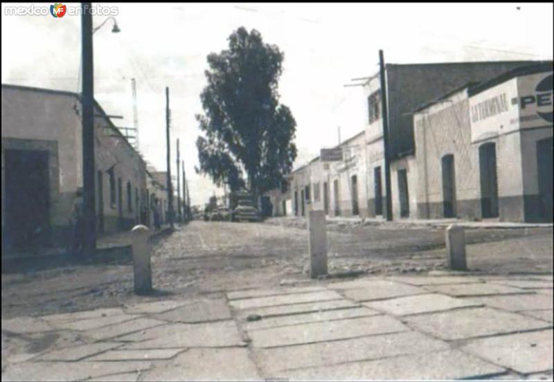 Calzada JRV