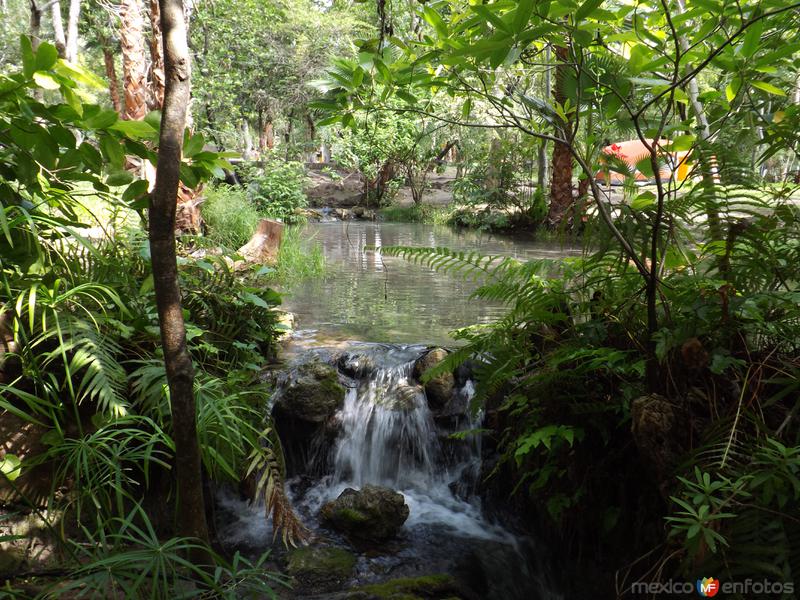 Aguas termales en Los Manantiales, Morelos. Julio/2013