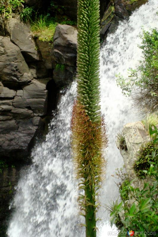 La naturaleza en todo su esplendor