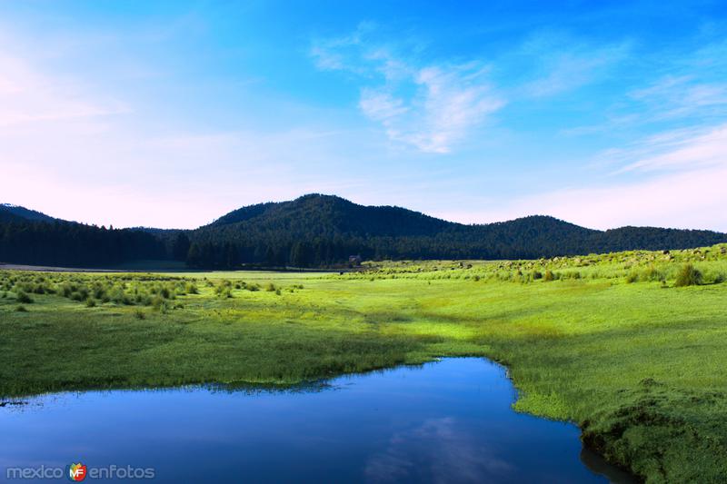 NATURALEZA: Llanos de Teopan, a un costado de la Carretera Federal 119, Chignahuapan - Tlaxco