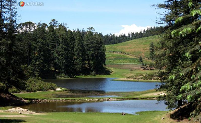 Paisaje boscoso y Presa de Cruz Colorada